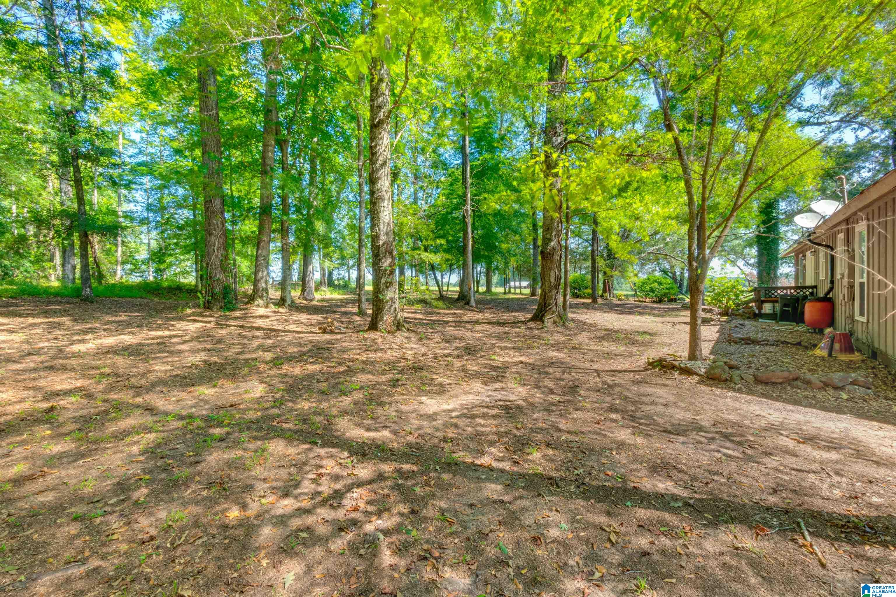 714 Pecan Road Plantersville, AL 36758 - Photo 48 of 49