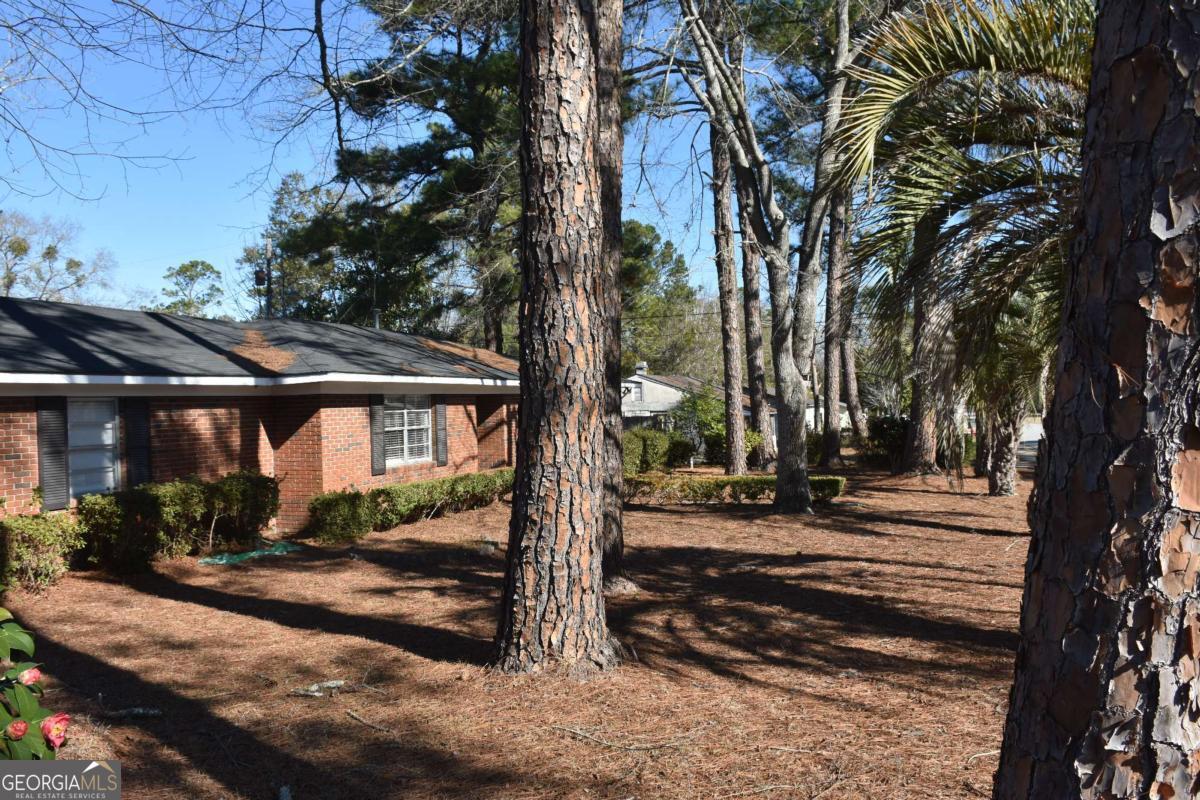 611 North Fourth Street Jesup, GA 31545 - Photo 3 of 6