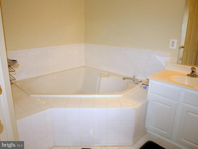 46182 Chester Terrace Sterling, VA 20165 - Photo 18 of 25 a bathroom with a tub