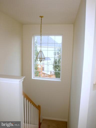 46182 Chester Terrace Sterling, VA 20165 - Photo 21 of 25 a view of hallway with windows