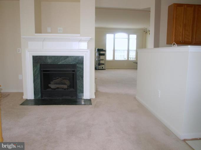 46182 Chester Terrace Sterling, VA 20165 - Photo 9 of 25 a view of a livingroom with a fireplace