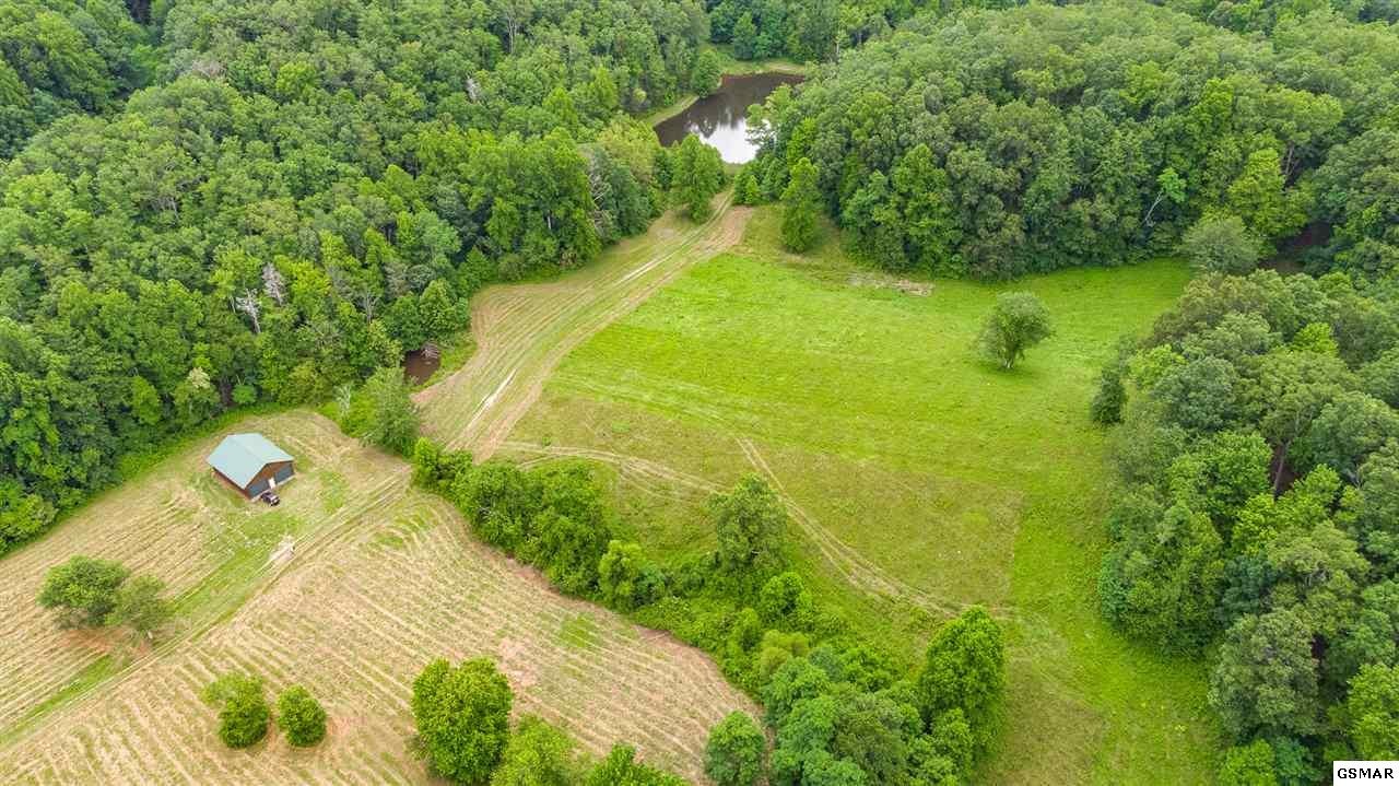4133 Whetstone Road Sevierville, TN 37862 - Photo 5 of 7 Gallery Image 5