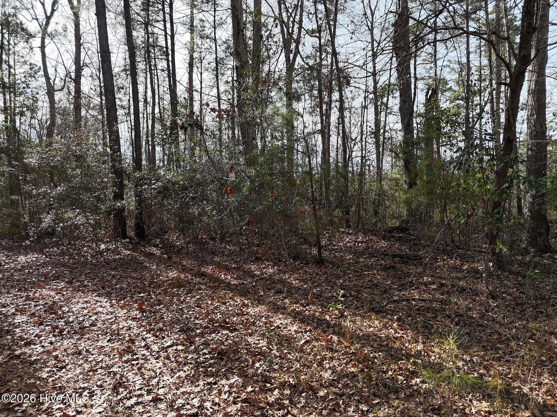 5.19-acres Winding Branch Road Hampstead, NC 28443 - Photo 12 of 14 Ground Shot 3