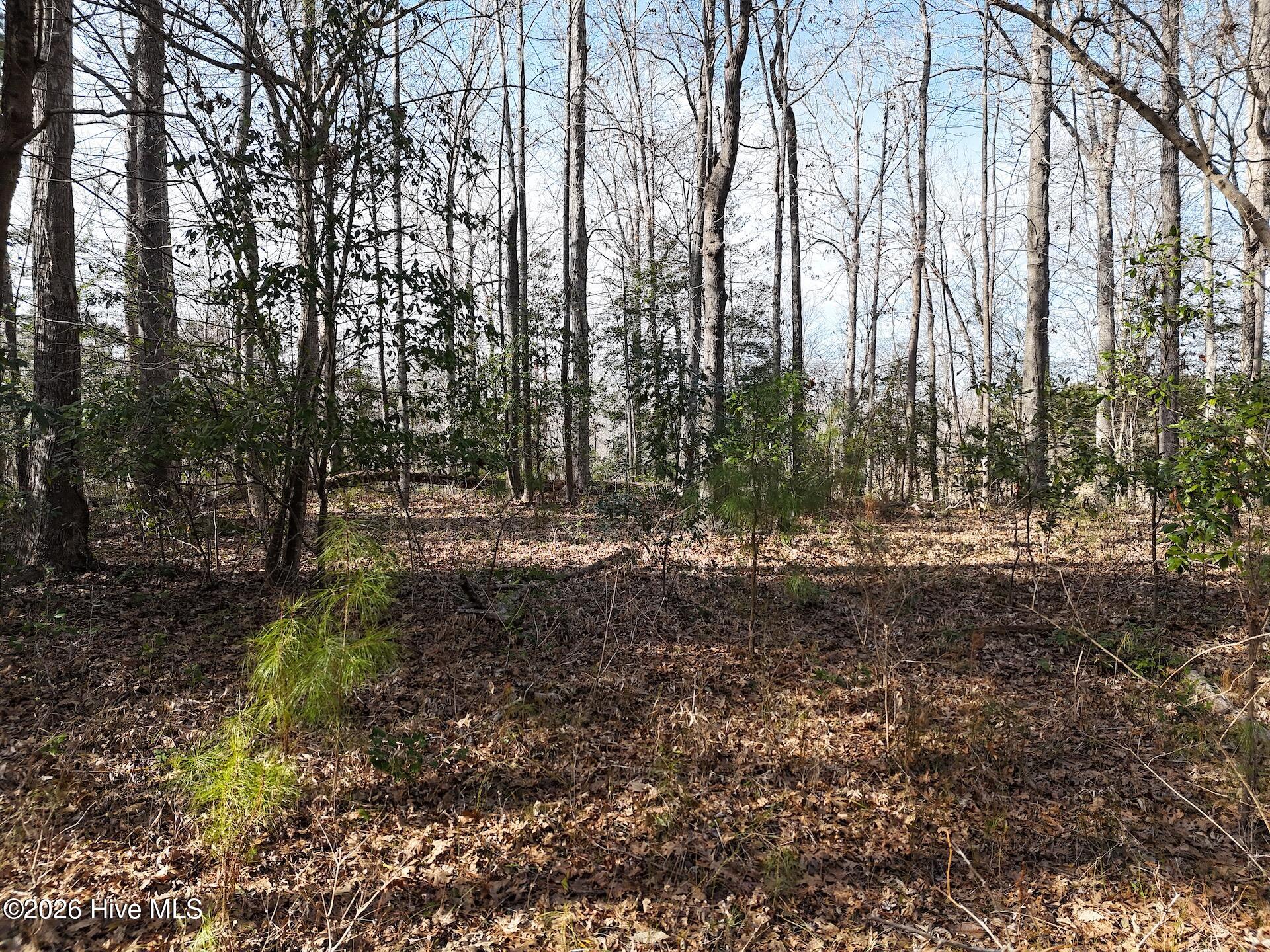 5.19-acres Winding Branch Road Hampstead, NC 28443 - Photo 13 of 14 Ground Shot 2