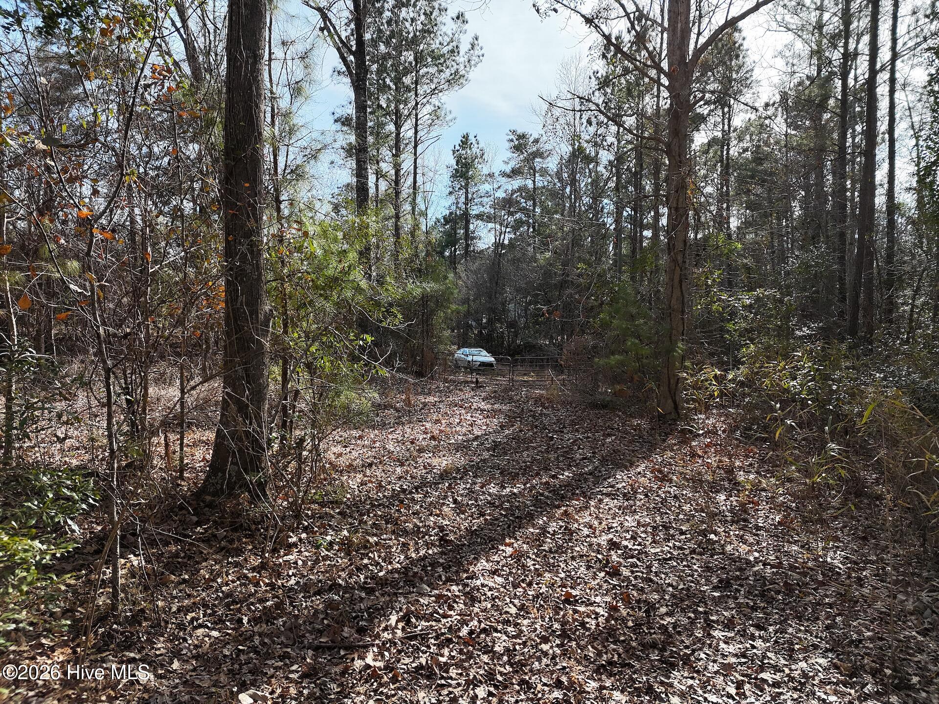 5.19-acres Winding Branch Road Hampstead, NC 28443 - Photo 10 of 14 Ground Shot 5