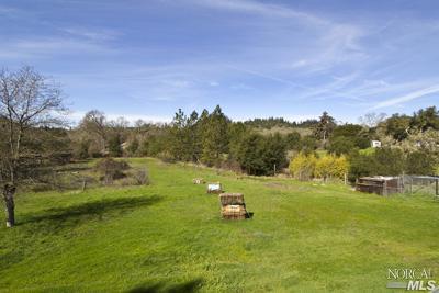 5160 Sharp Road Calistoga, CA 94515 - Photo 6 of 9 a backyard of a house with table and chairs