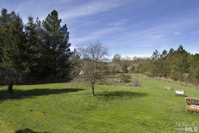 5160 Sharp Road Calistoga, CA 94515 - Photo 7 of 9 a view of a field with a tree
