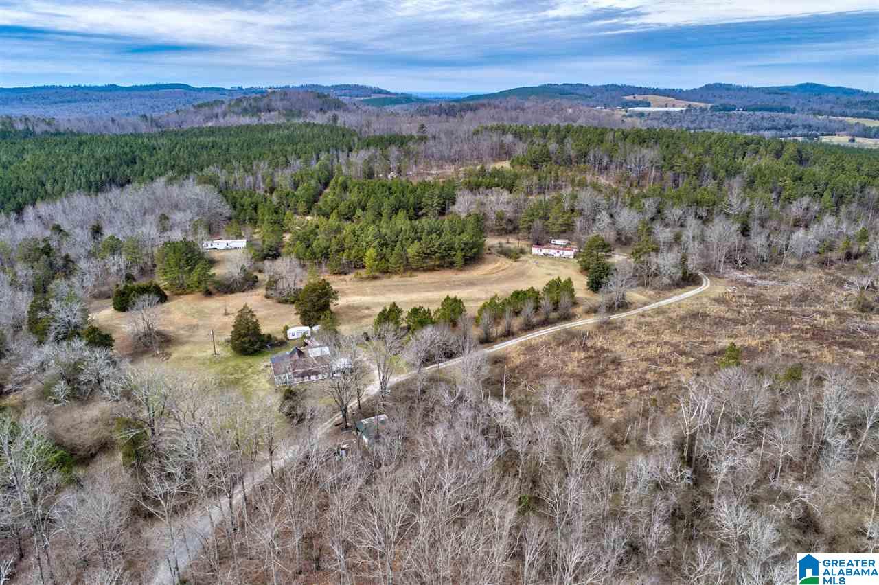 620 Chief Albert Road Blountsville, AL 35031 - Photo 10 of 15