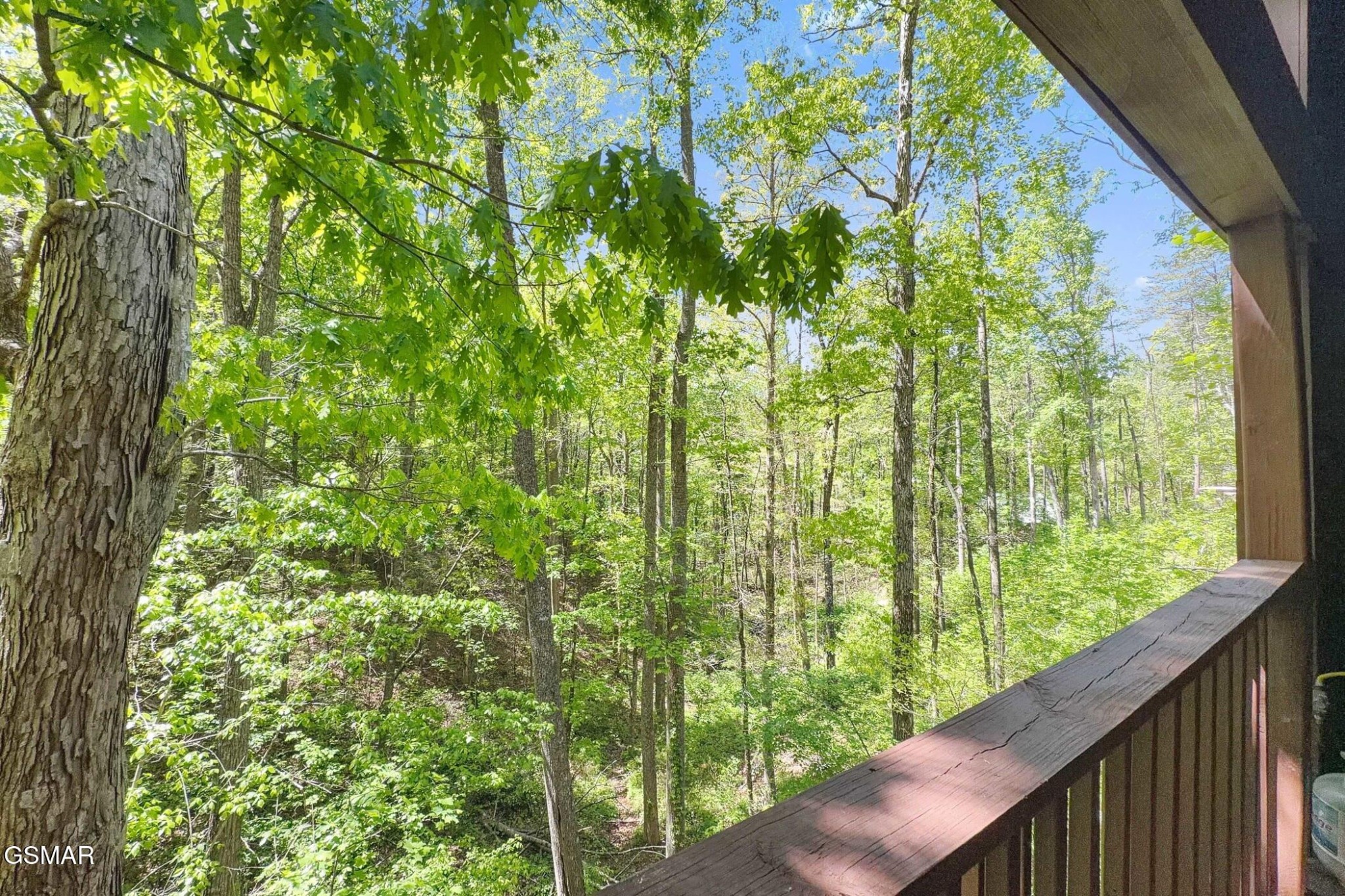 1607 South Mountain View Road Sevierville, TN 37876 - Photo 29 of 29 Gallery Image 29