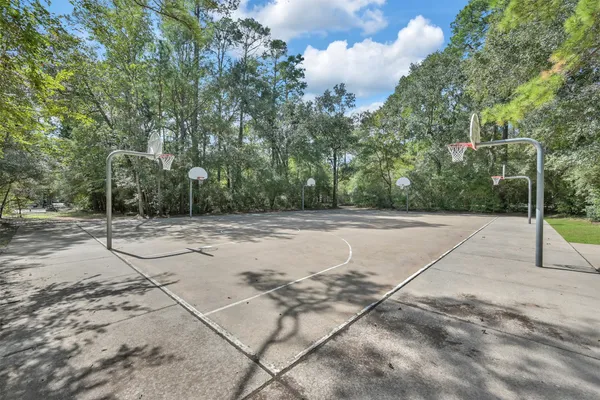 a view of a park with large trees