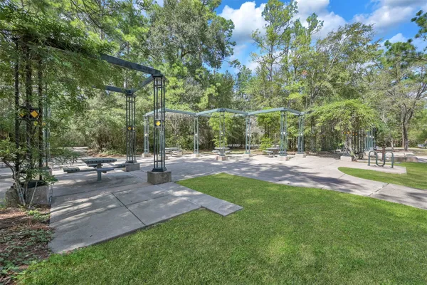 a view of a park with large trees
