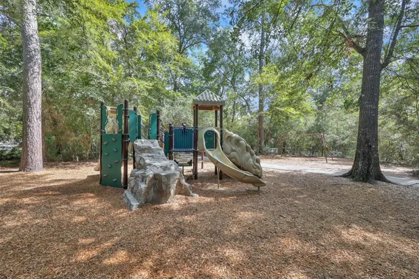 a view of a park with large trees