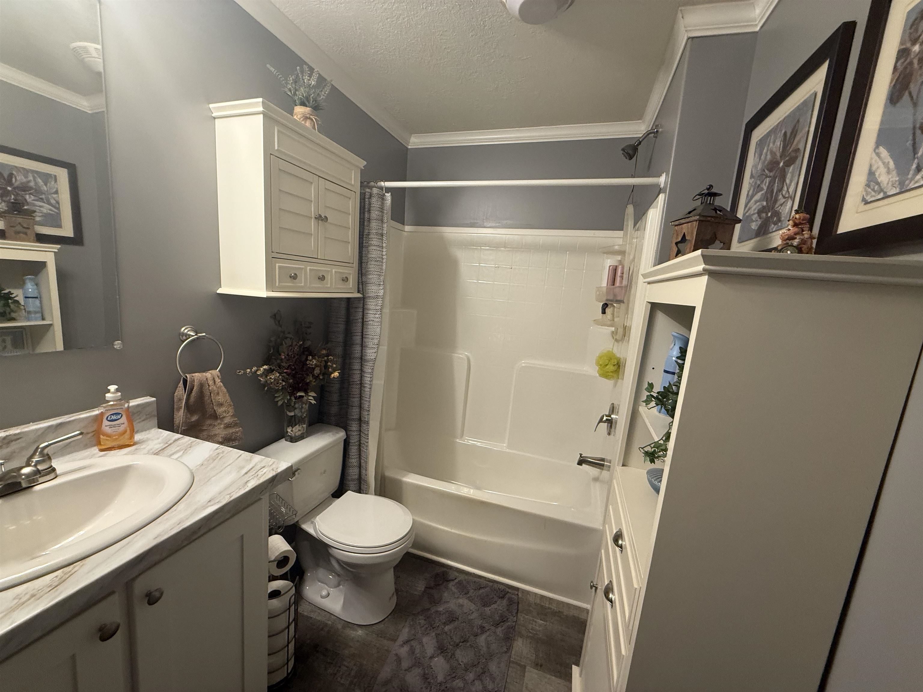 185 Pine Tree Road Moscow, TN 38057 - Photo 25 of 36 Bathroom featuring a white vanity with an integrated sink, a white toilet, a shower/tub combination, and wood-finish flooring