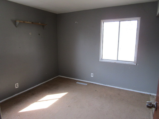 715 Rambler Court Streamwood, IL 60107 - Photo 8 of 11