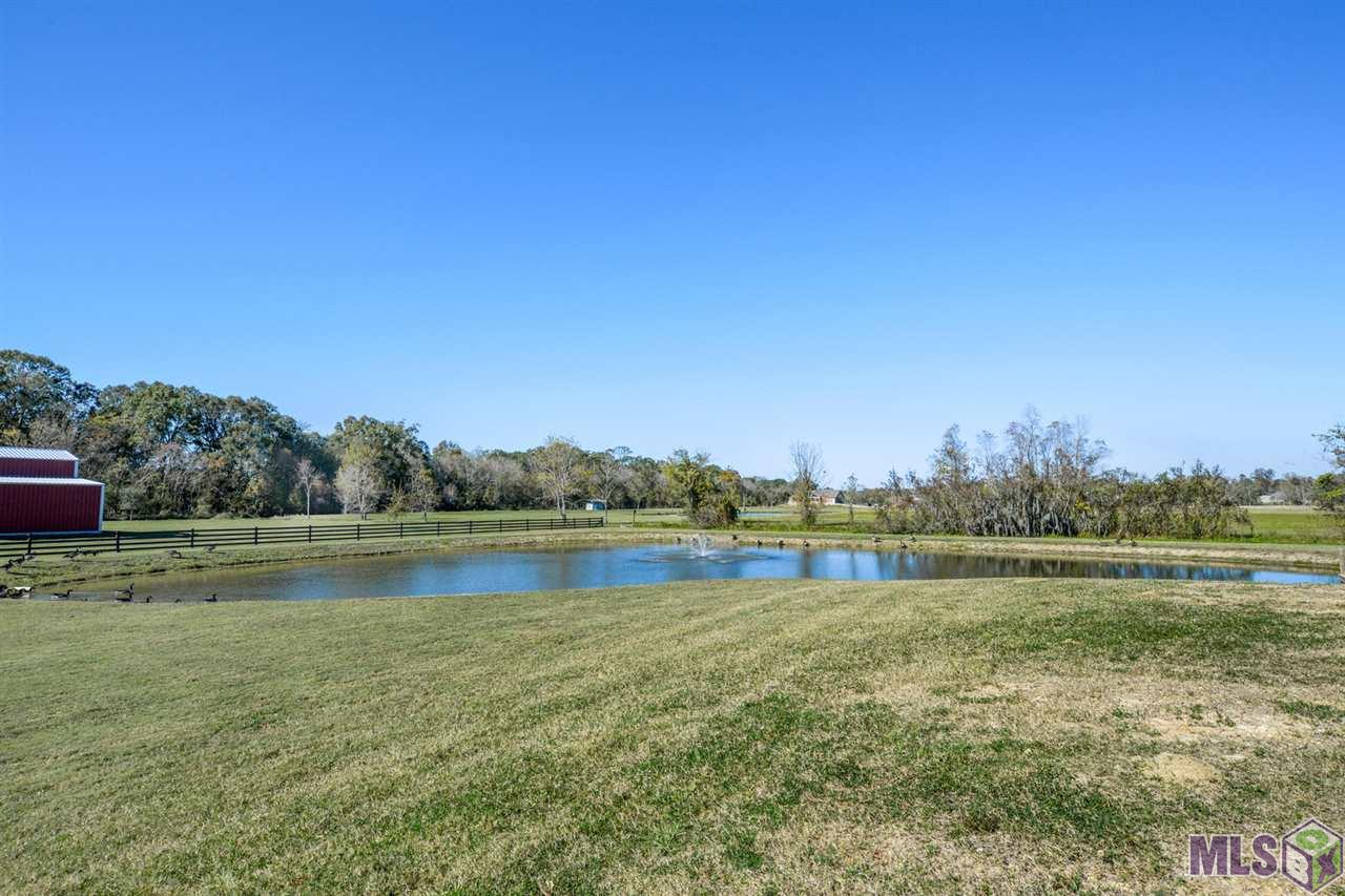 45496 Melancon Road St. Amant, LA 70774 - Photo 34 of 35 Room to spread your wings