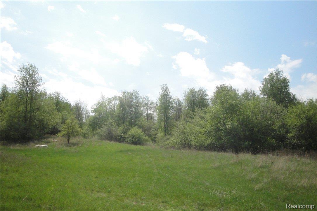 4323 Phillips Road Metamora, MI 48455 - Photo 1 of 3 BPO Phillips #2.jpg