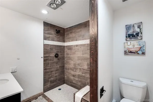 a bathroom with a shower and toilet
