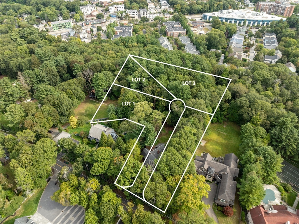 136 Dudley Road Newton, MA 02459 - Photo 3 of 23