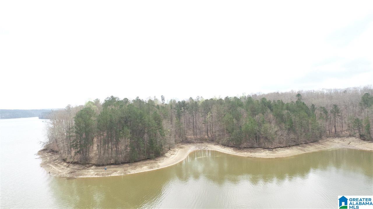 247 County Road 247 Wedowee, AL 36278 - Photo 1 of 8