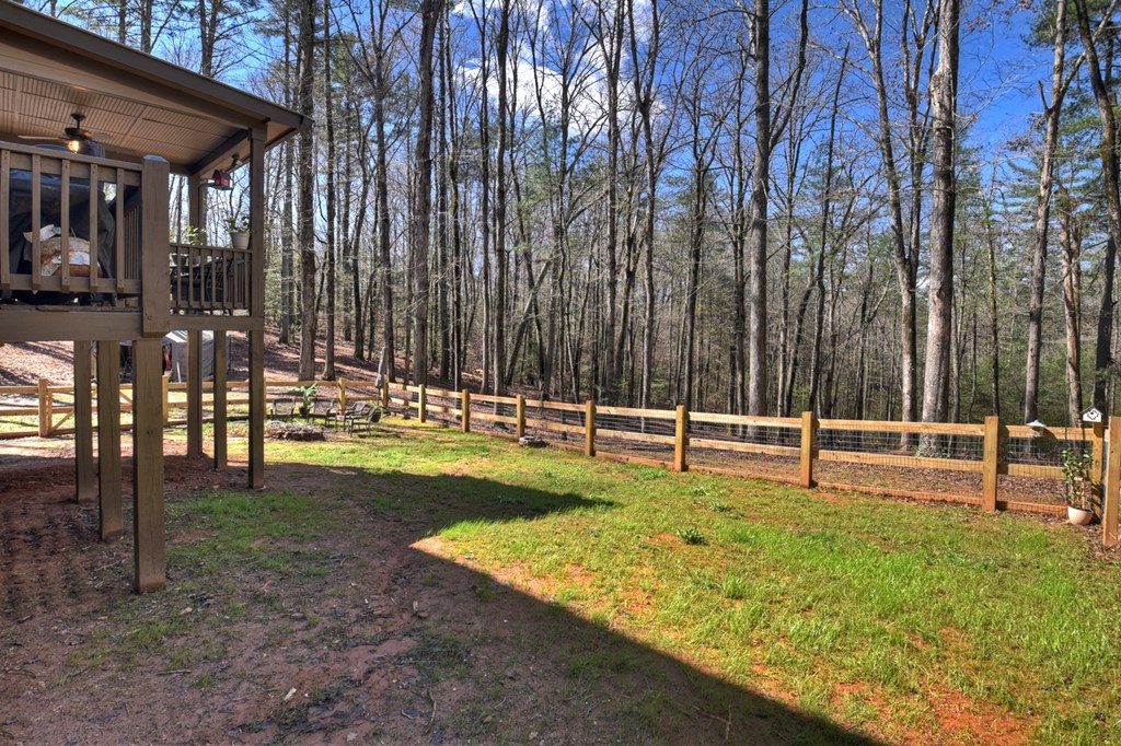 175 Mountain Springs Road Ellijay, GA 30540 - Photo 46 of 58 Gallery Image 46