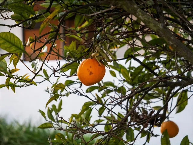 $1,975,000 | 1954 Vista Caudal, Newport Beach, CA 92660