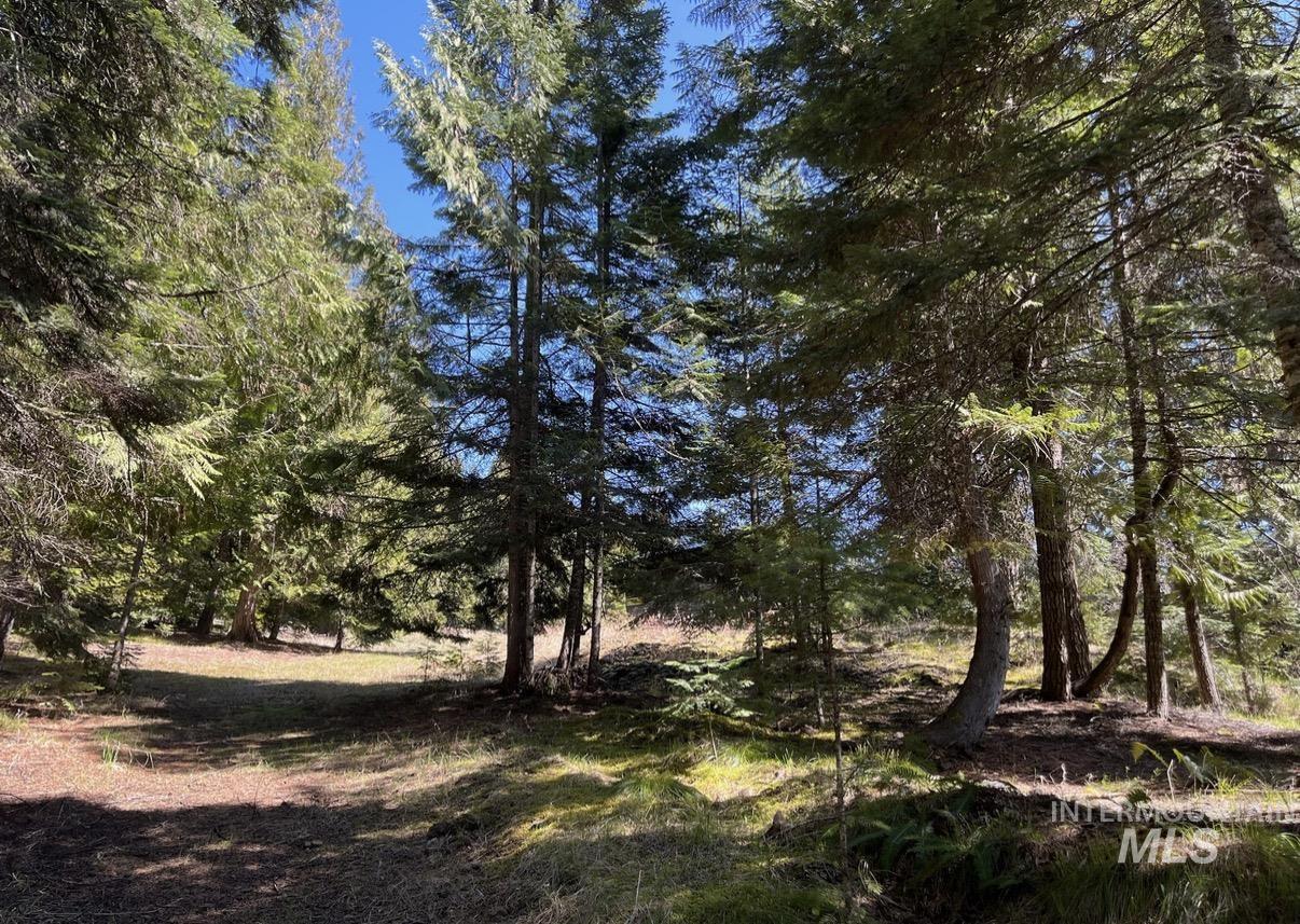936 Red Fir Road Kooskia, ID 83539 - Photo 17 of 29