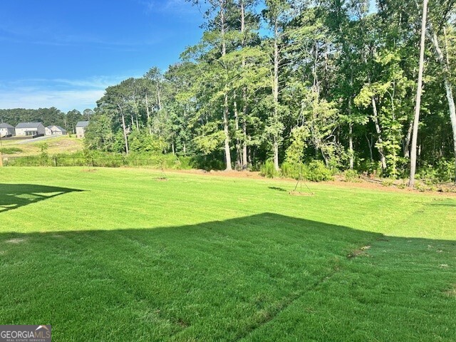 1921 Endress Circle Hampton, GA 30228 - Photo 52 of 52