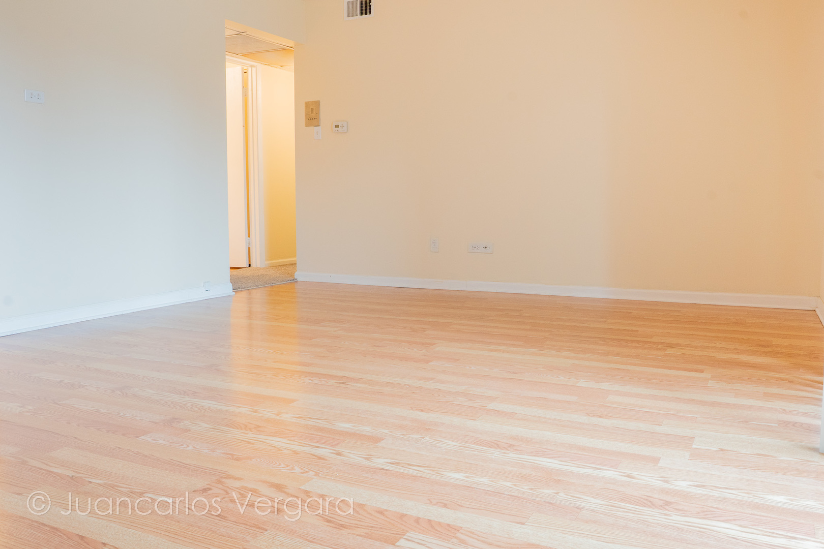 17004 Novak Drive, Unit T104 Hazel Crest, IL 60429 - Photo 8 of 29