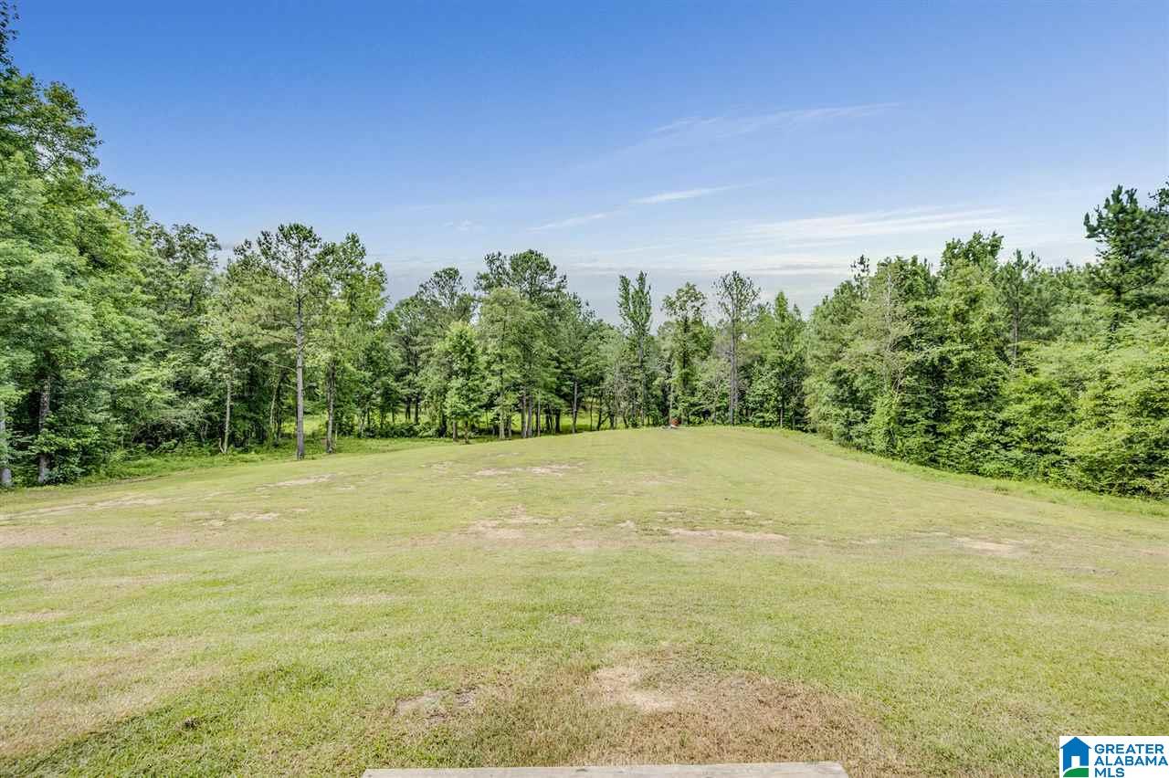 3851 Humber Road Dora, AL 35062 - Photo 2 of 35