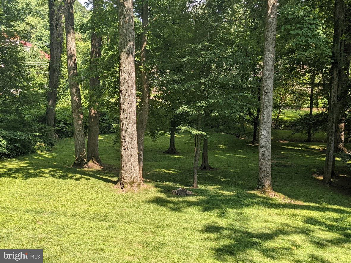 1045 Rector Lane McLean, VA 22102 - Photo 11 of 11