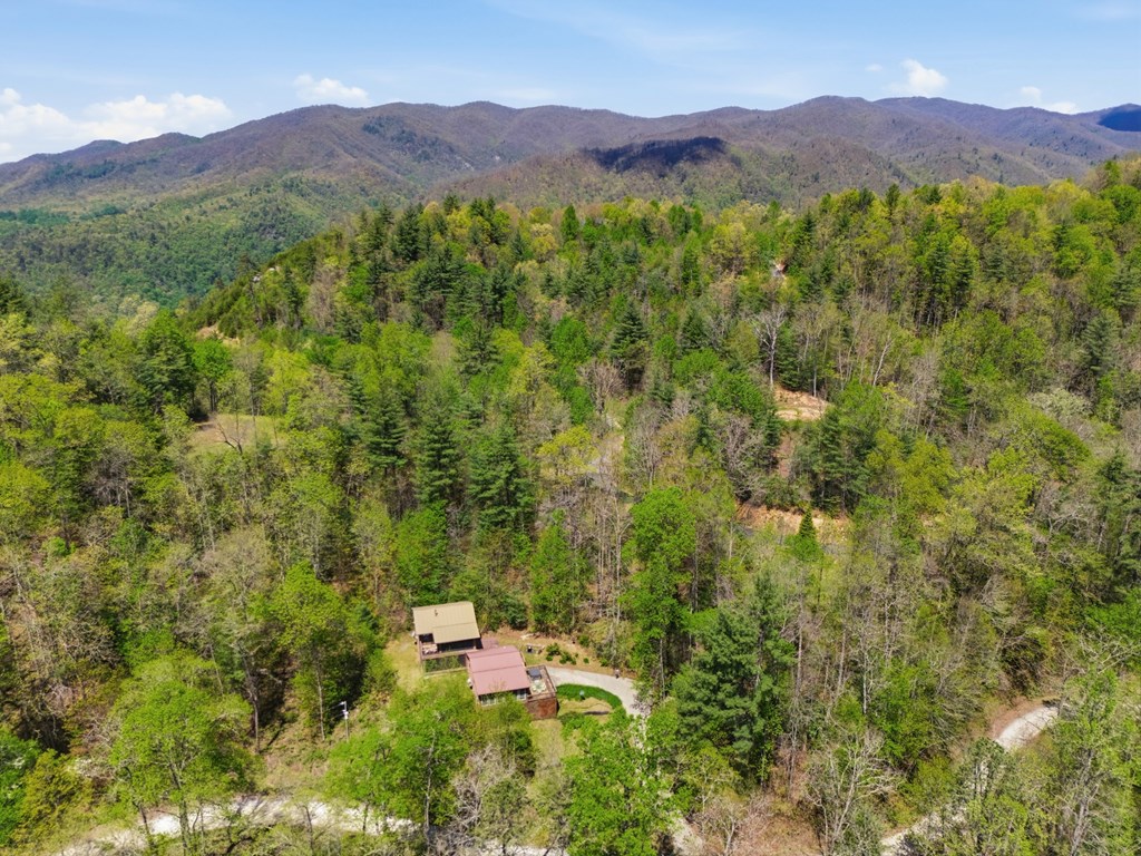4541 Winding Stairs Road Topton, NC 28781 - Photo 33 of 34 a view of a lush green hillside and a houses