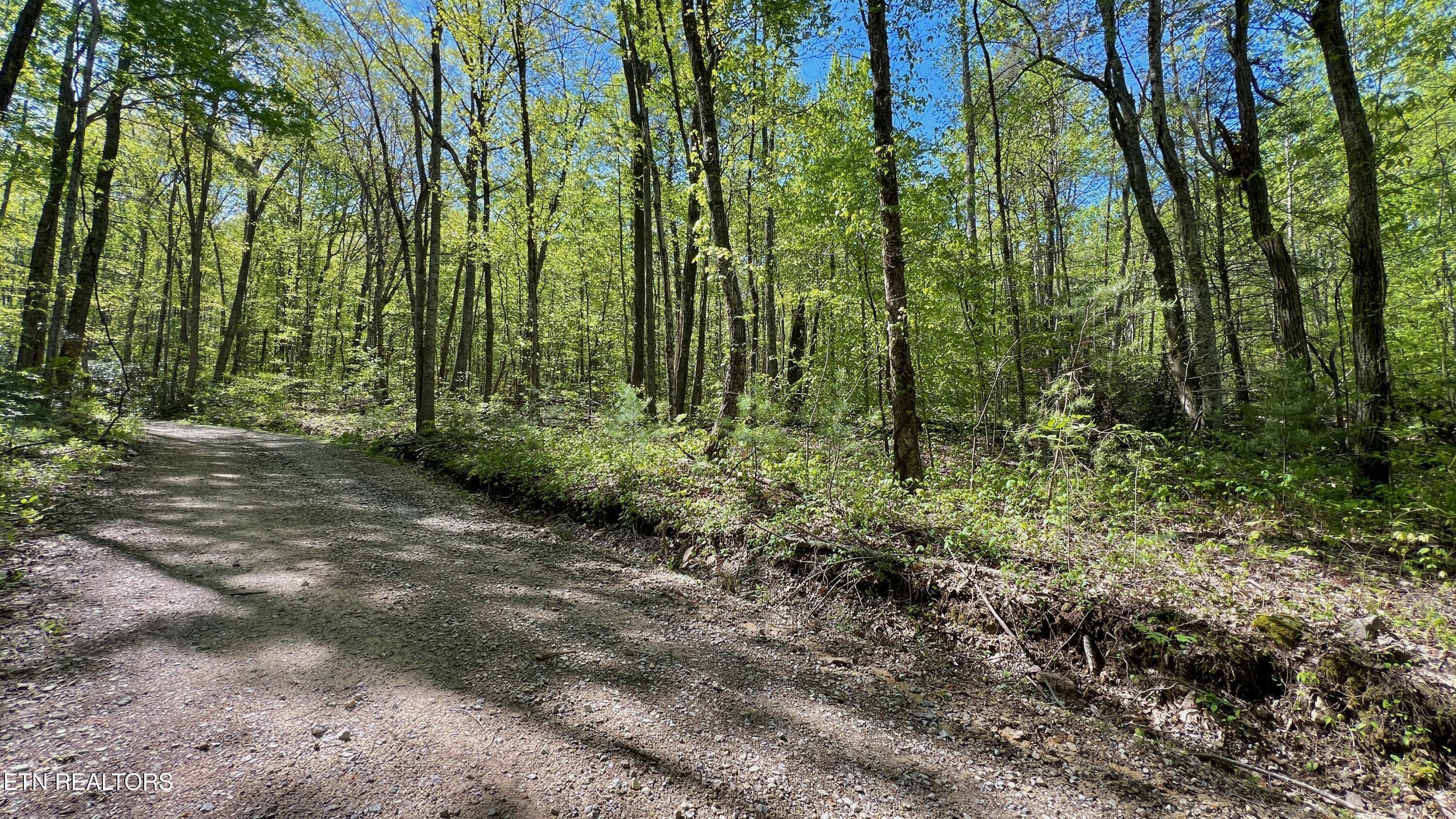 981 Critter Vly Way Newport, TN 37821 - Photo 12 of 34 981 Critter Valley Way, Newport, TN