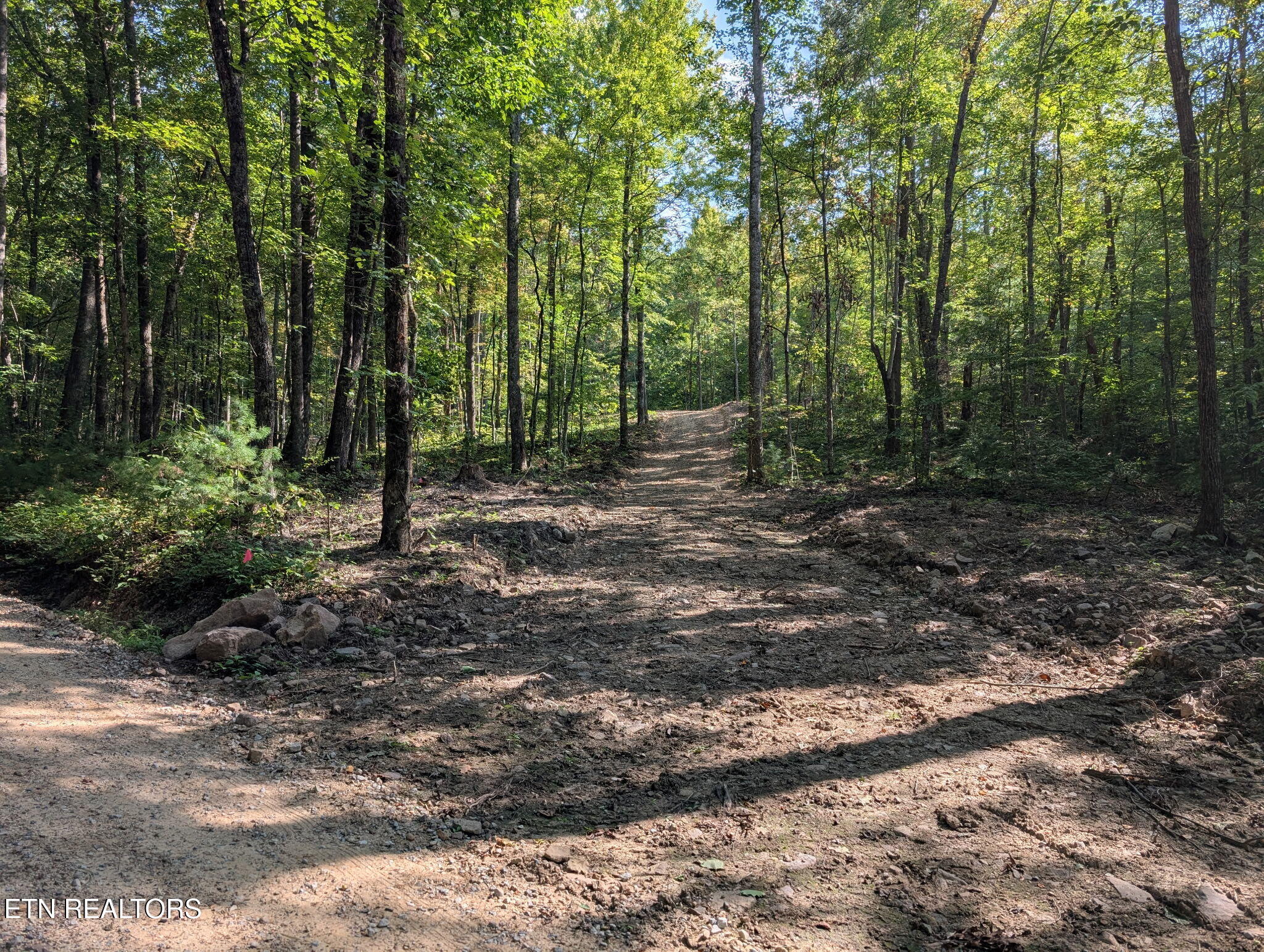981 Critter Vly Way Newport, TN 37821 - Photo 14 of 34 981 Critter Valley Way, Newport, TN