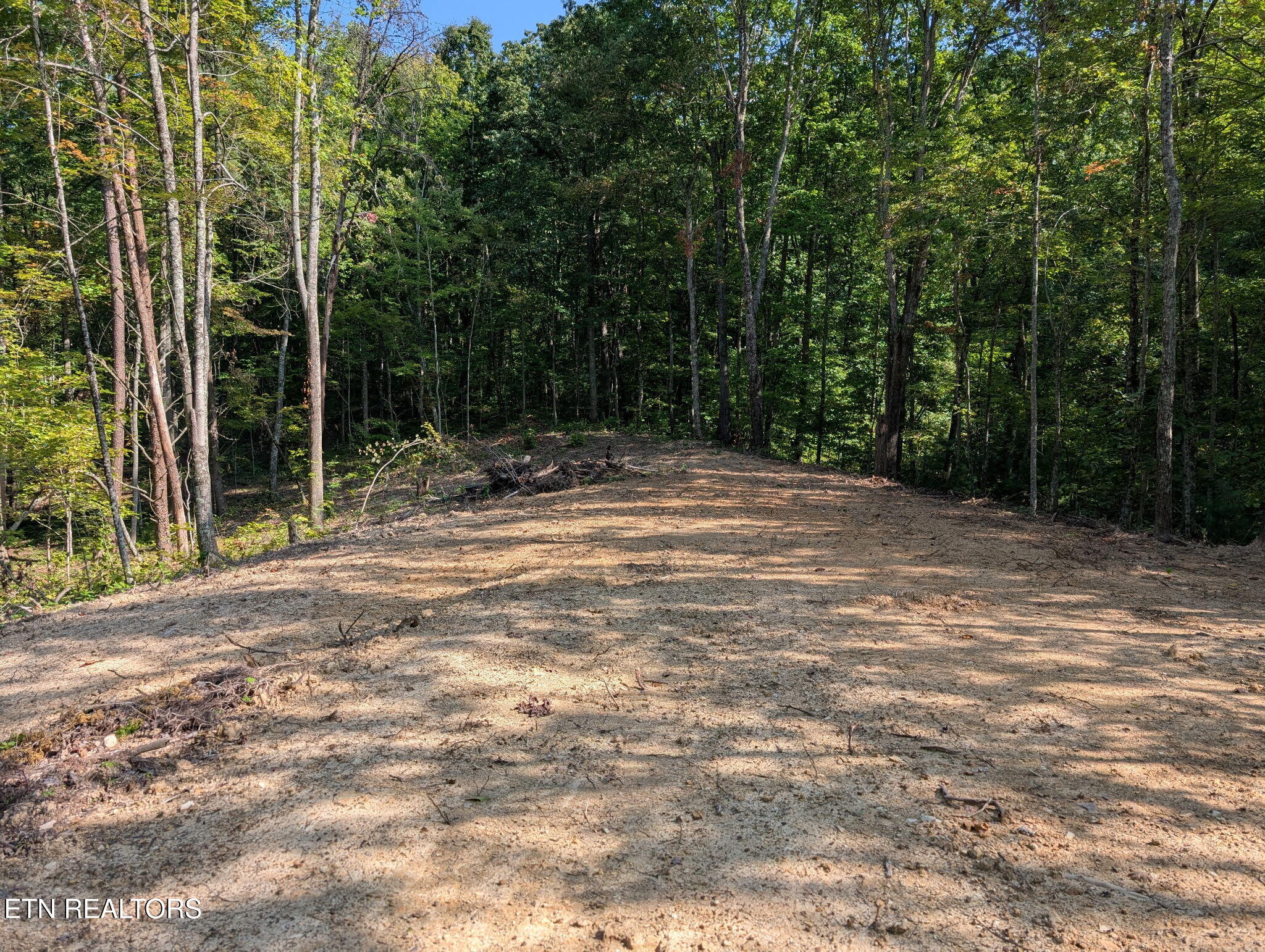 981 Critter Vly Way Newport, TN 37821 - Photo 15 of 34 981 Critter Valley Way, Newport, TN