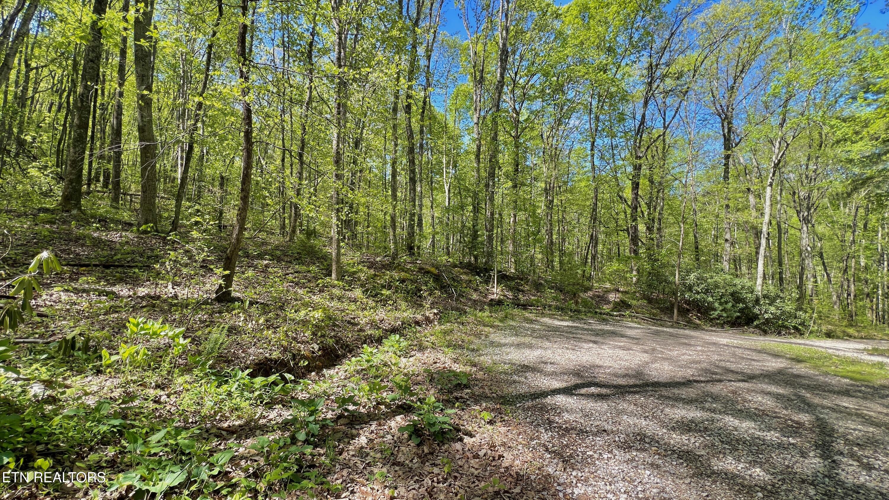 981 Critter Vly Way Newport, TN 37821 - Photo 17 of 34 981 Critter Valley Way, Newport, TN