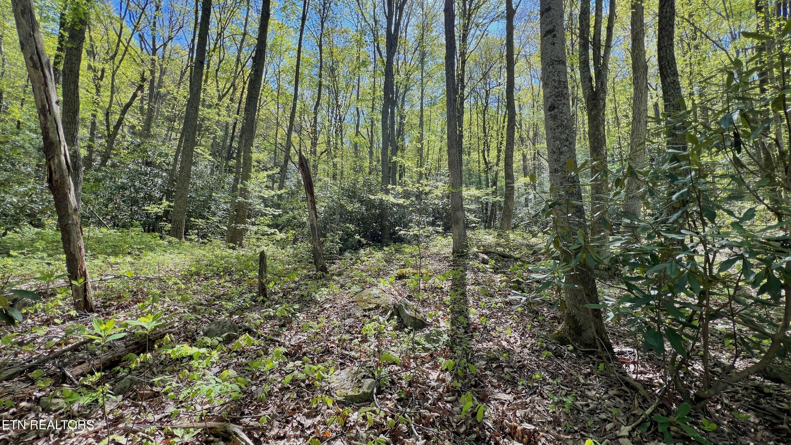 981 Critter Vly Way Newport, TN 37821 - Photo 23 of 34 981 Critter Valley Way, Newport, TN