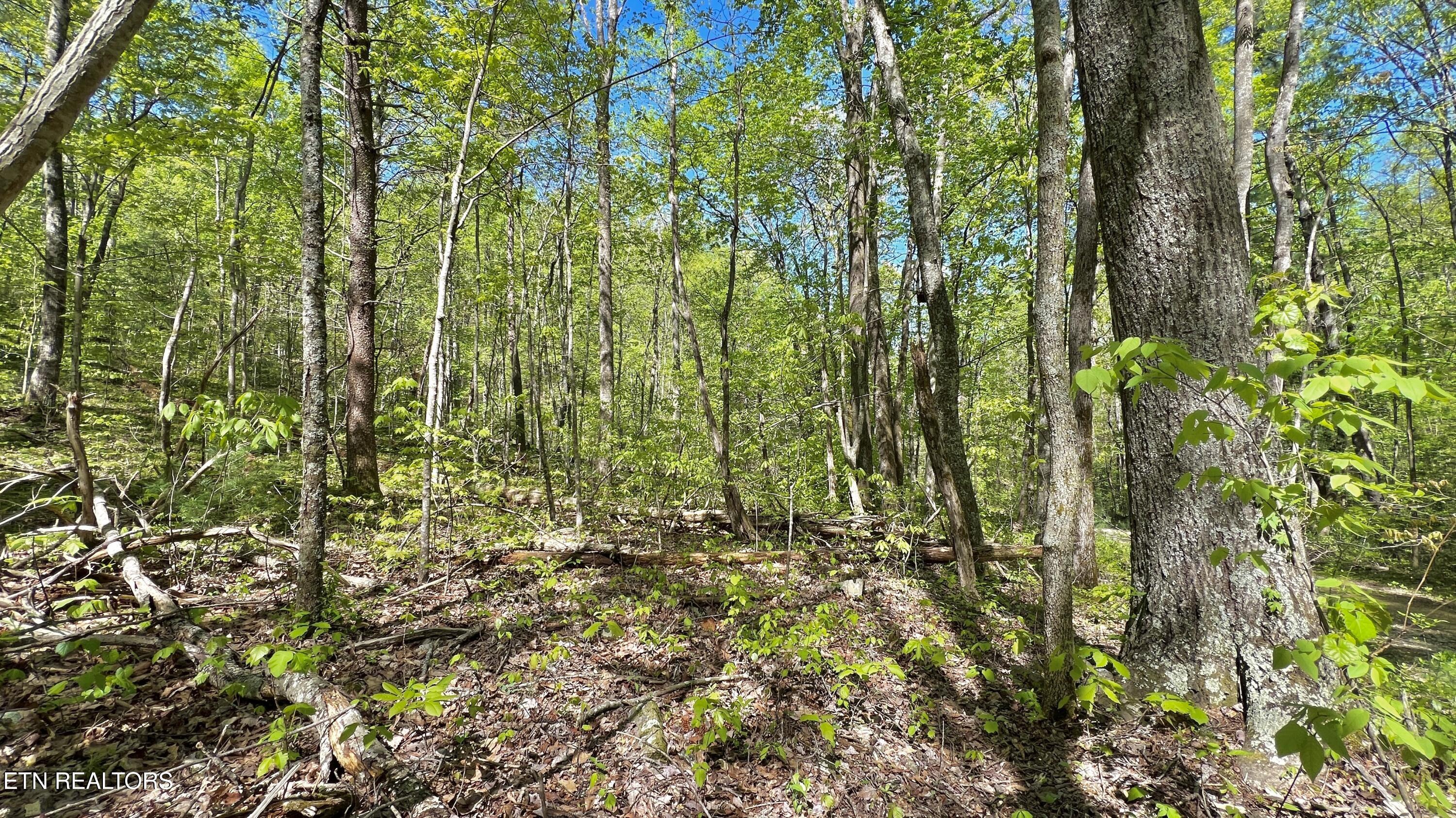 981 Critter Vly Way Newport, TN 37821 - Photo 34 of 34 981 Critter Valley Way, Newport, TN