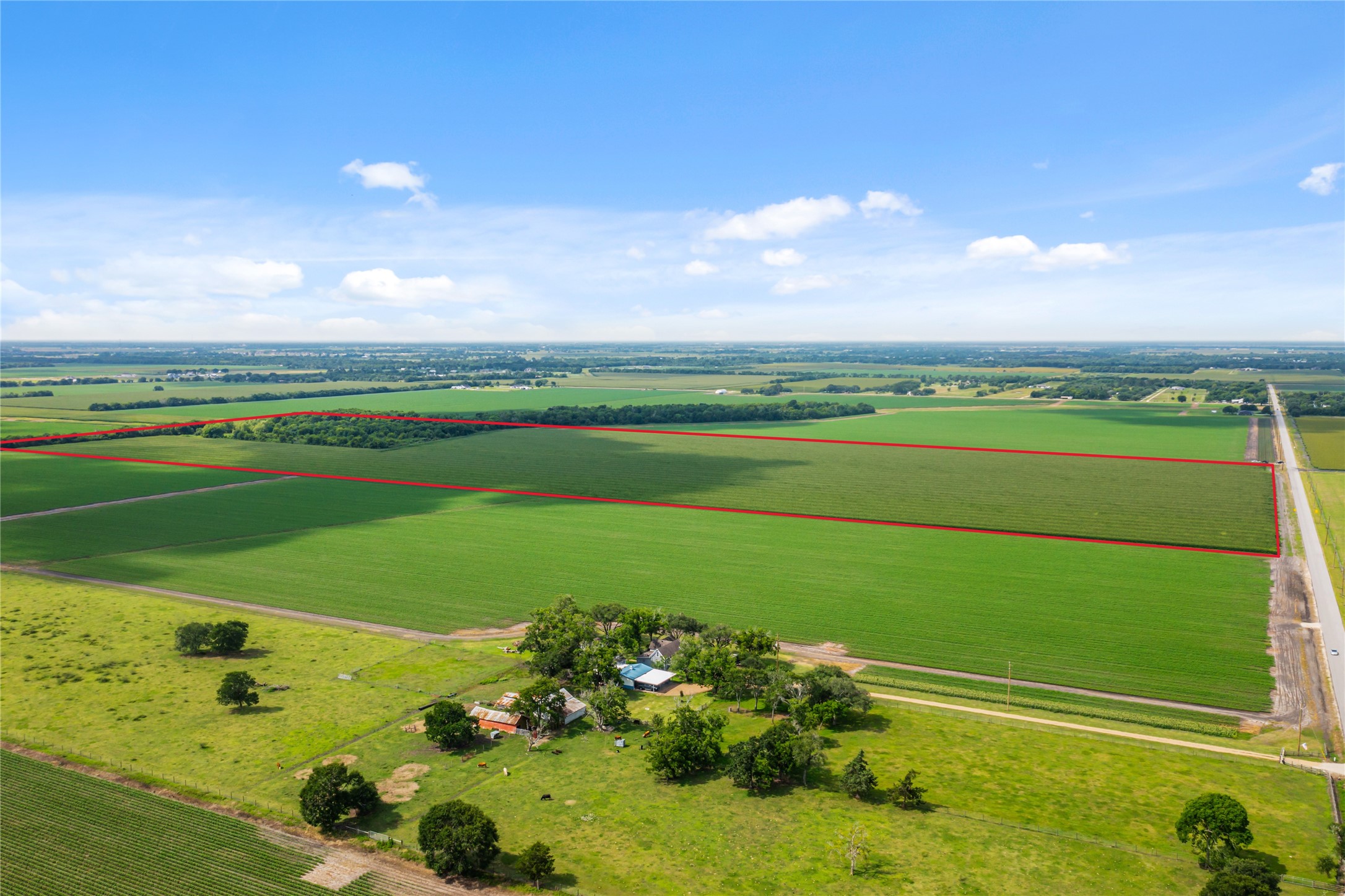 0 Kunz Road Needville, TX 77461 - Photo 14 of 18 a view of a golf course with a lake