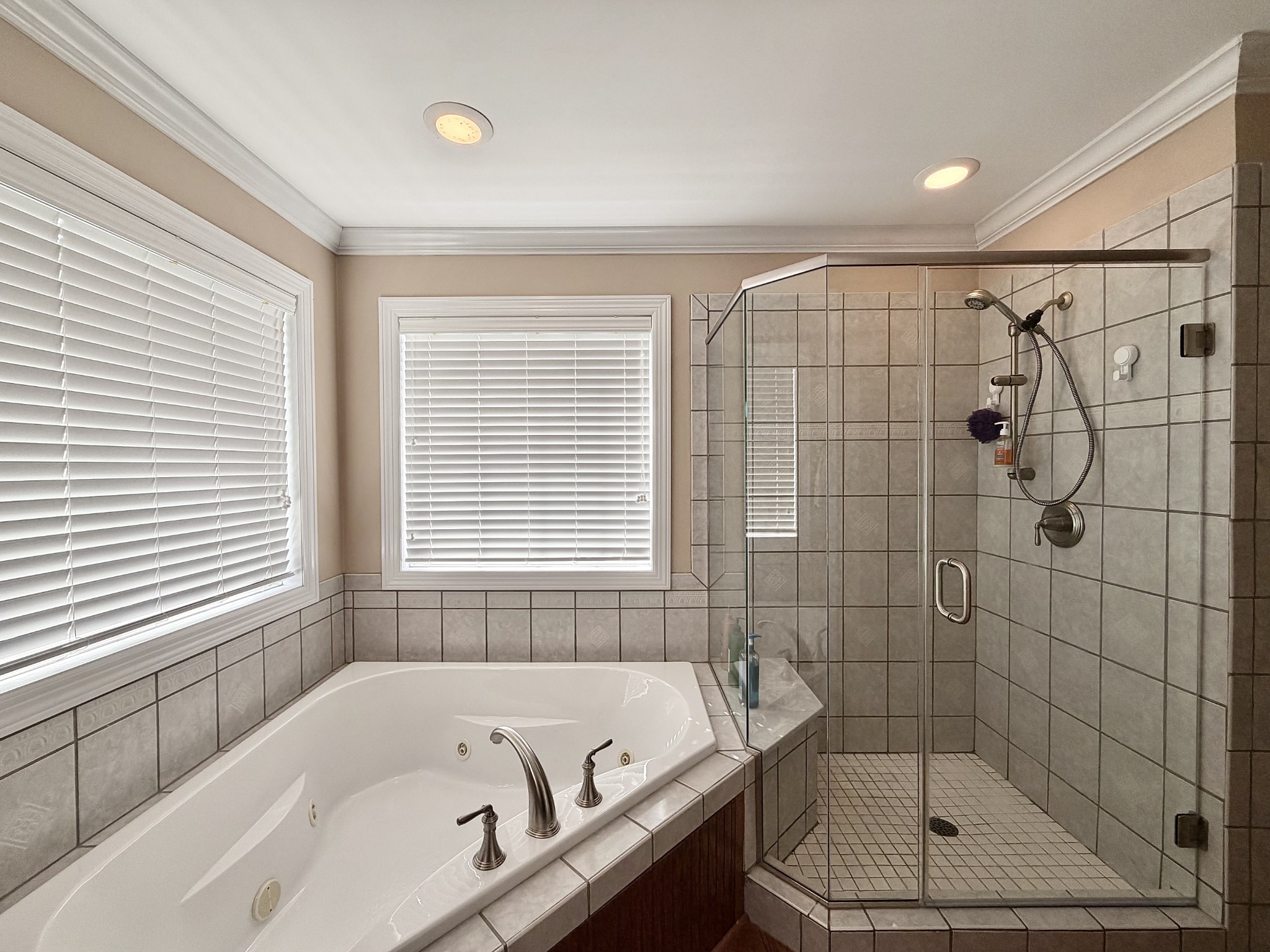 101 Mimi Circle Pulaski, TN 38478 - Photo 41 of 56 a bathroom with a bath tub a window and a shower