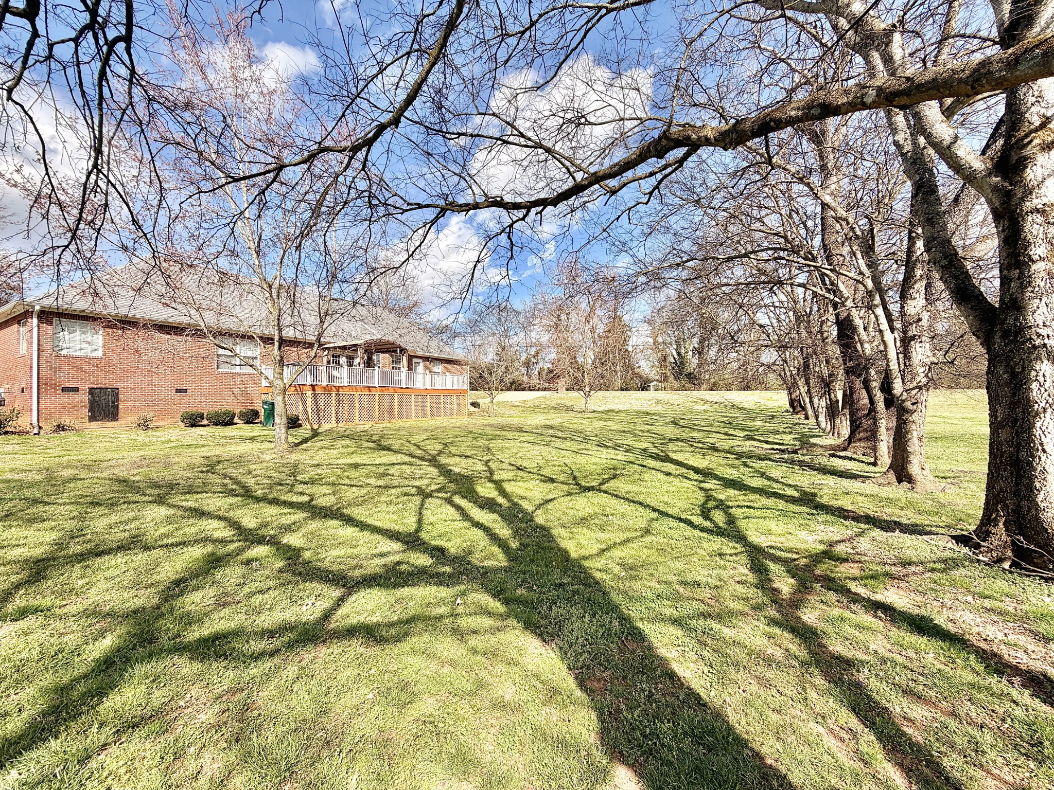101 Mimi Circle Pulaski, TN 38478 - Photo 52 of 56 a view of yard with large trees