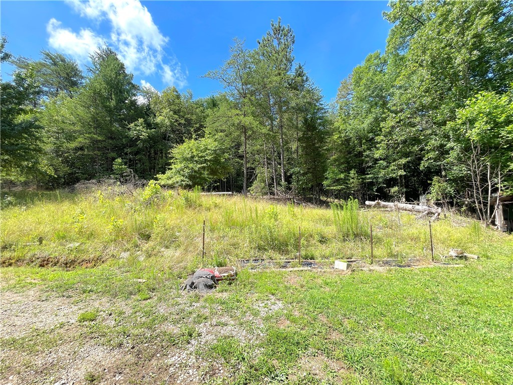 720 Oconee Creek Road Walhalla, SC 29691 - Photo 28 of 31 Gallery Image 28