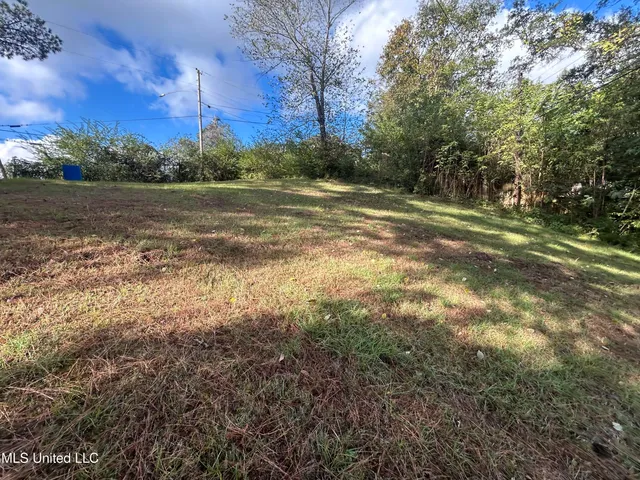 $8,750 | 106 Pine Drive, Winona, MS 38967