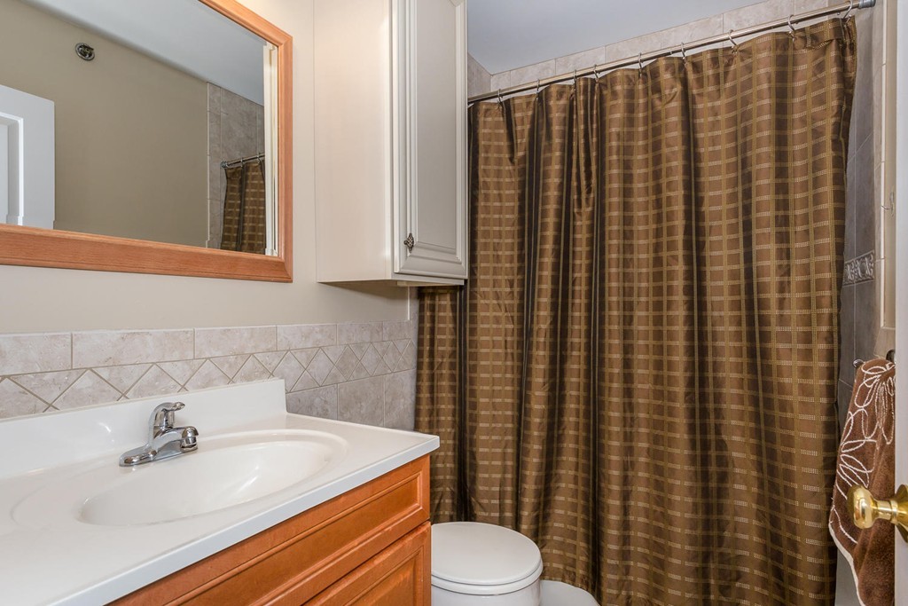 17 Lafield Street, Unit 1 Boston, MA 02122 - Photo 10 of 14