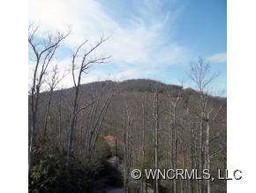 6 Rambling Creek Road Hendersonville, NC 28739 - Photo 20 of 21 Gallery Image 20