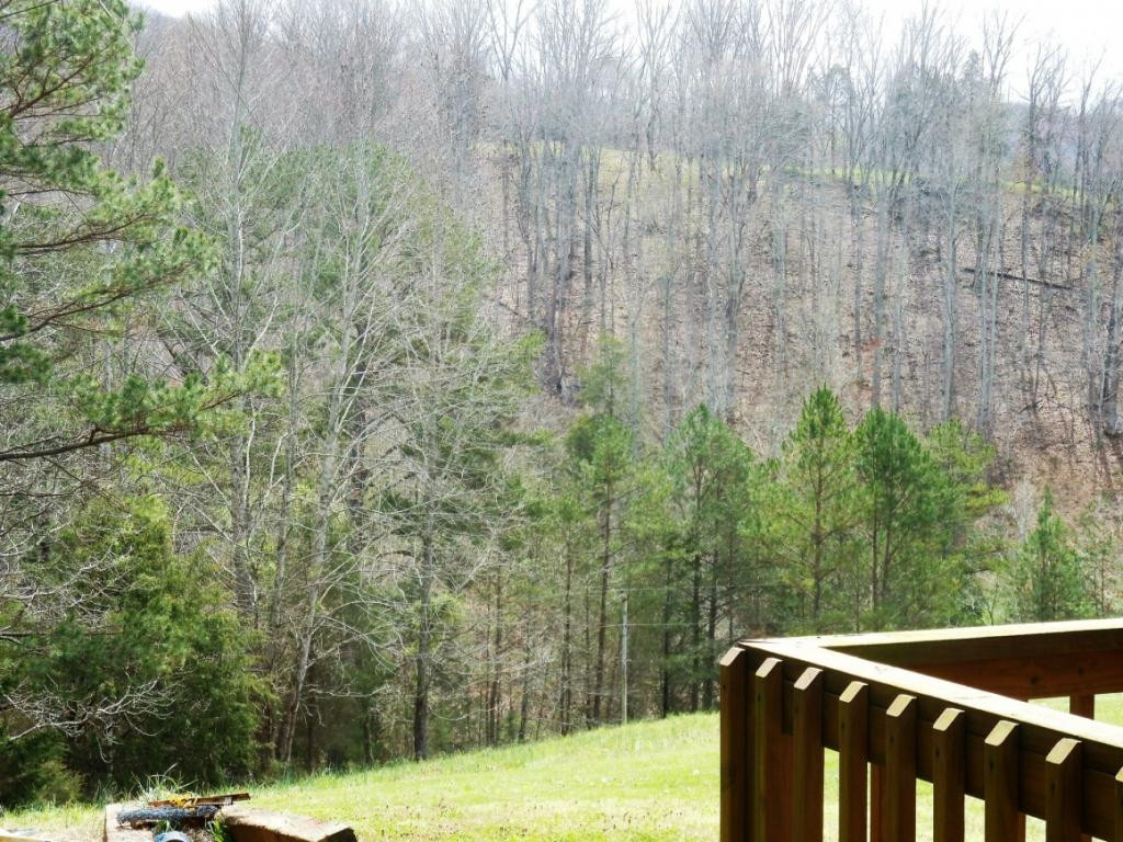 1144 Butcher Valley Road Rogersville, TN 37857 - Photo 4 of 34 Photo 4