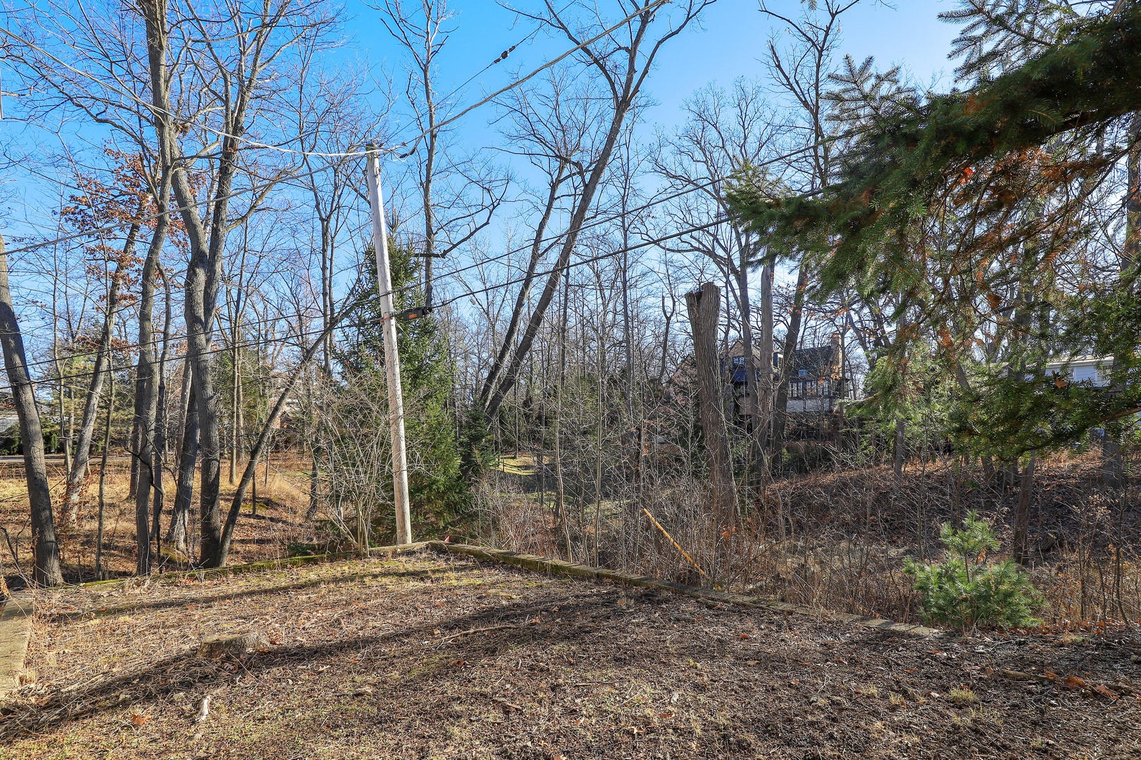 420 Washington Road Lake Forest, IL 60045 - Photo 6 of 7 a backyard of a house with lots of green space