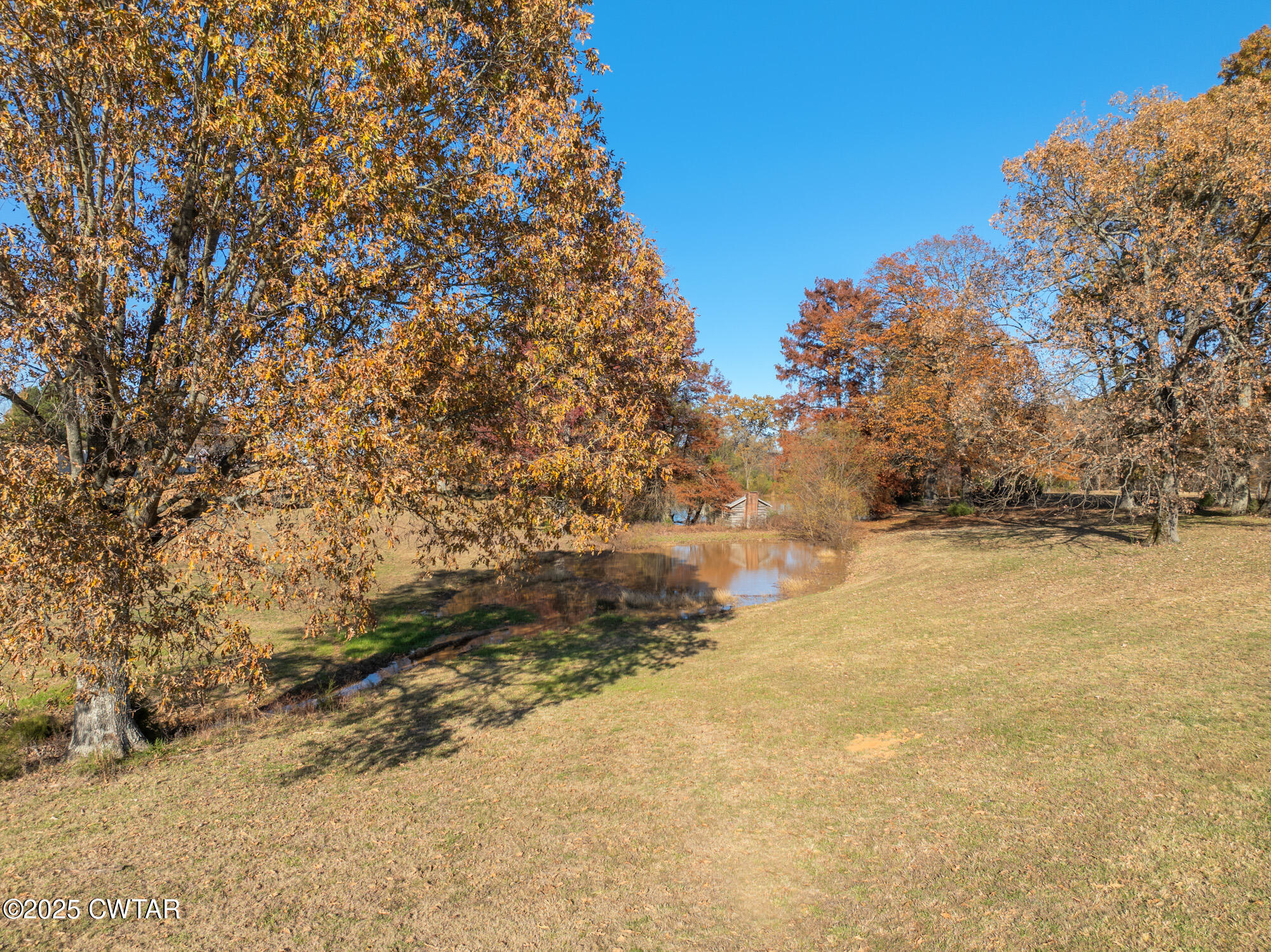 1100 Power Station Road Trezevant, TN 38258 - Photo 32 of 40 a view of yard