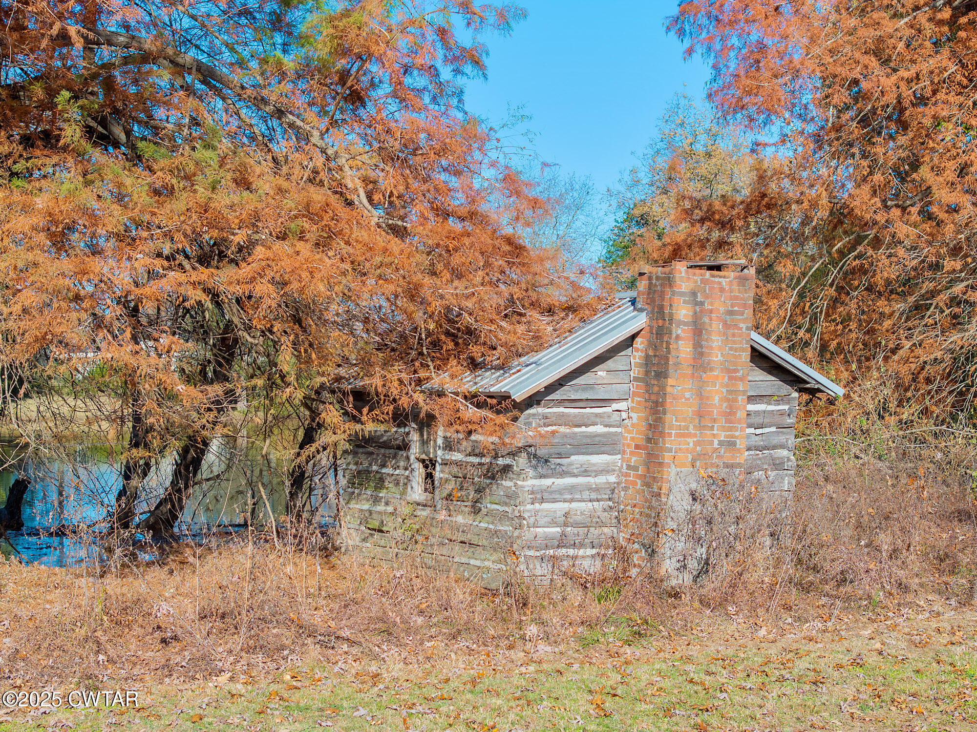 1100 Power Station Road Trezevant, TN 38258 - Photo 33 of 40 a view of outdoor space yard and patio