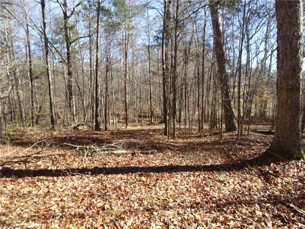 156 Payne Road Thomasville, NC 27360 - Photo 44 of 50
