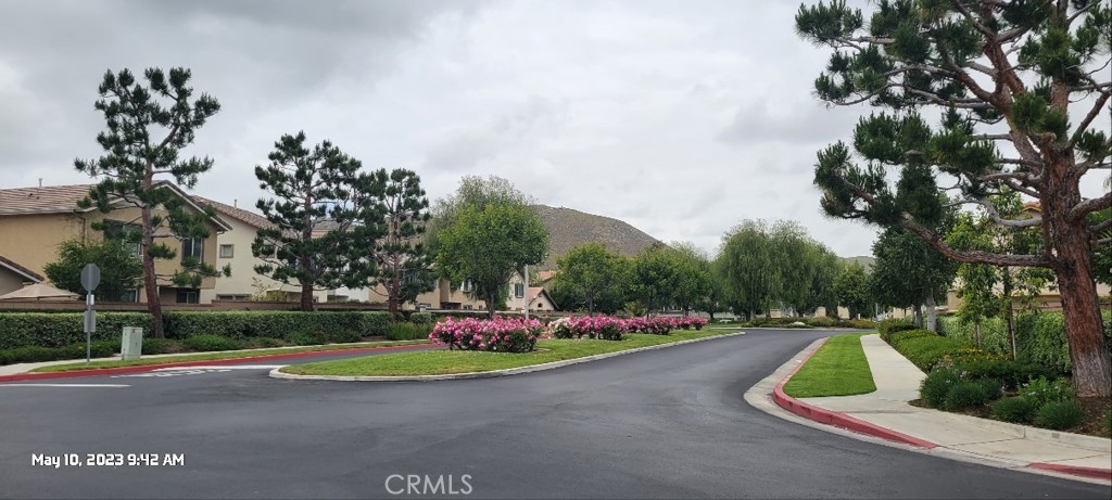 11305 Riverleaf Drive Riverside, CA 92505 - Photo 15 of 22 a view of a park with large trees
